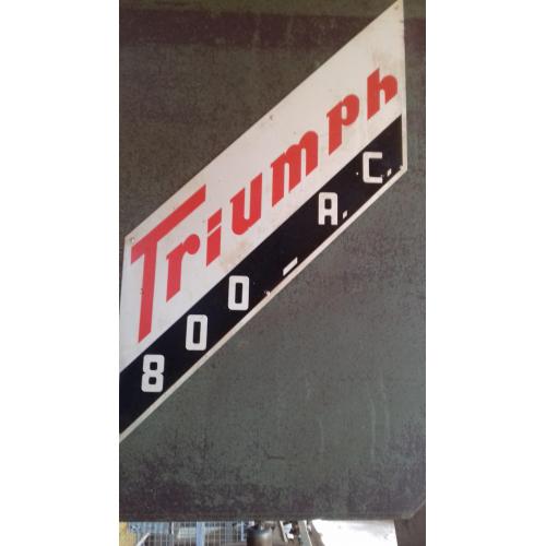 Lintzaag Triumph 800