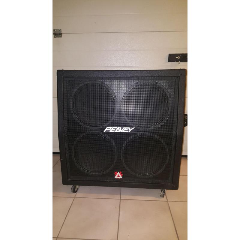 Peavey cabinet