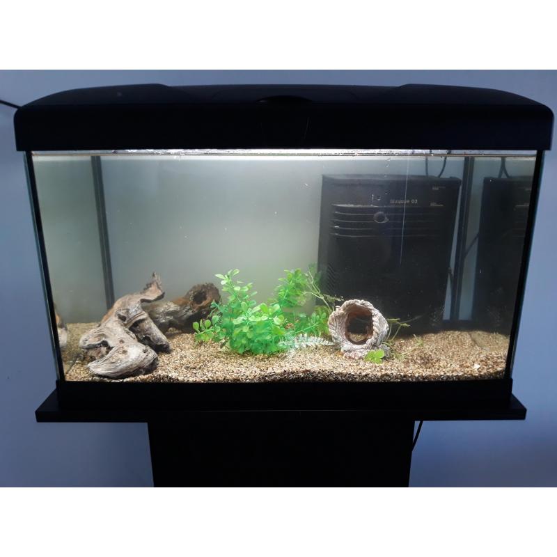 Aquarium 60 liter met meubel