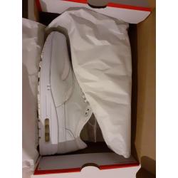 Nike Air Max 1 &#039;White Asparagus&#039;