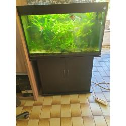 Te koop overcompleet zoetwateraquarium tropisch