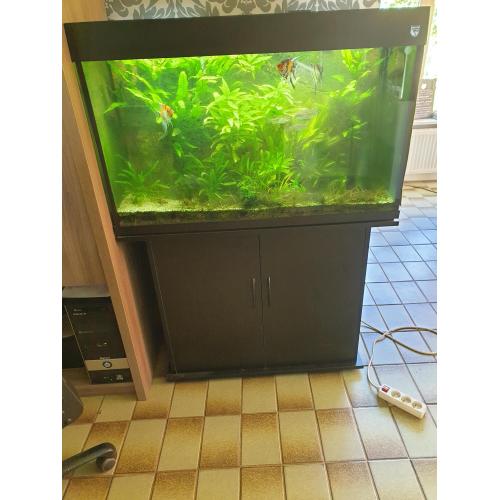 Te koop overcompleet zoetwateraquarium tropisch