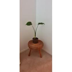 Tony Paul Tripod Wicker Stool, America 1950s vintage kruk riet