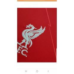 Originele truitjes o.a. Liverpool, Paris enz NIEUW €45