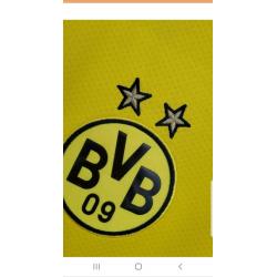 Originele truitjes o.a. Bayern Dortmund  enz NIEUW €45