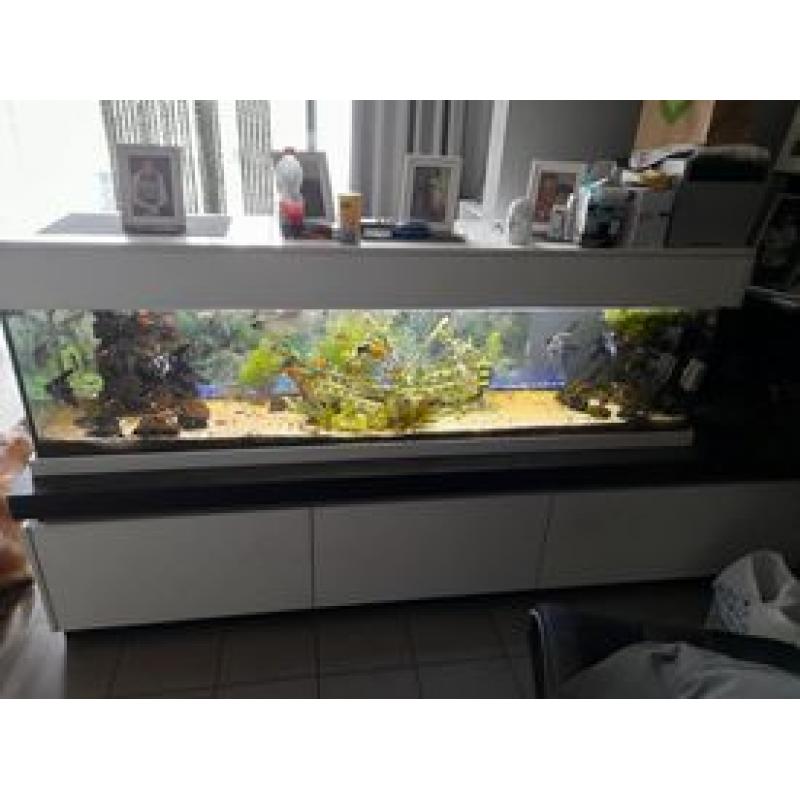 aquarium met toebehoren