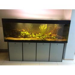 Aquarium 2m