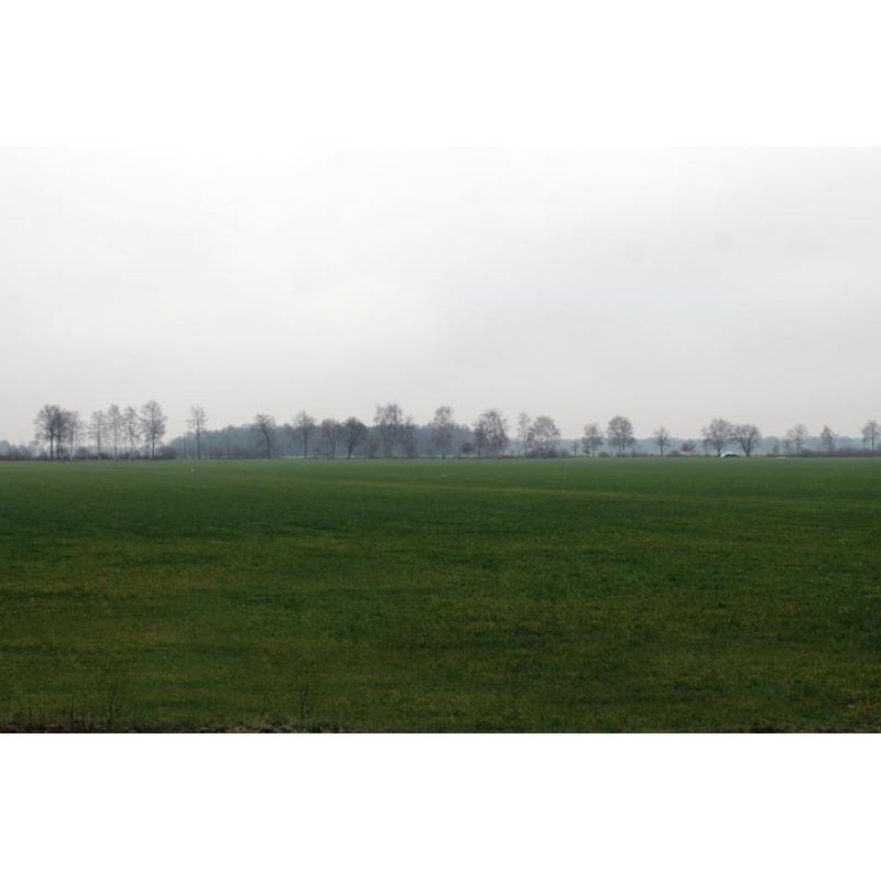 Pensionstalling in het natuurgebied Brechtse Heide