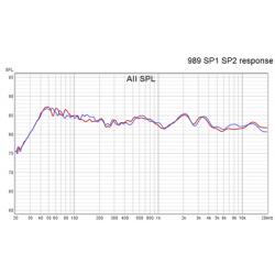 Quad 989 electrostatische luidsprekers, recentelijk volledig op punt gesteld en zelfs verbeterd