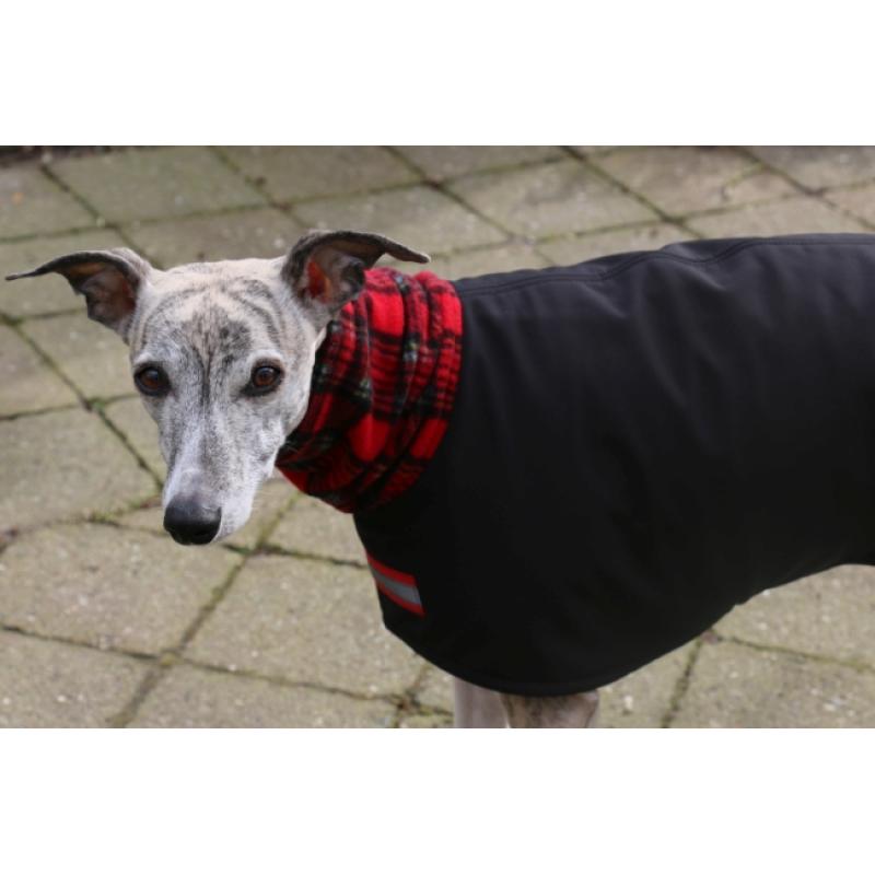 Softshell regenjasje voor een whippet - windhond