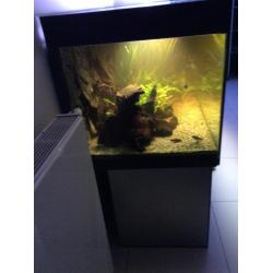 Aquarium 2m