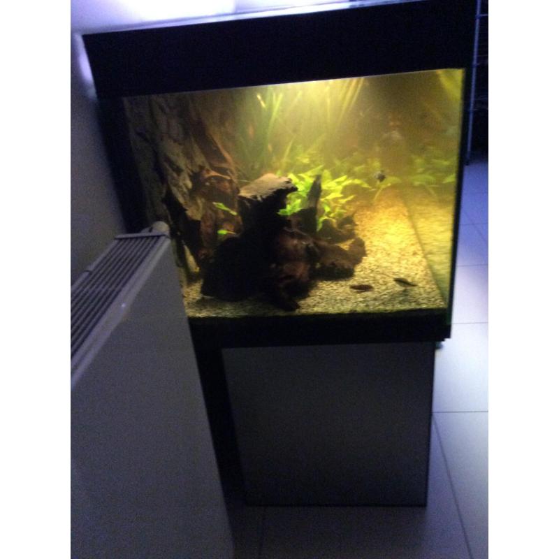 Aquarium 2m