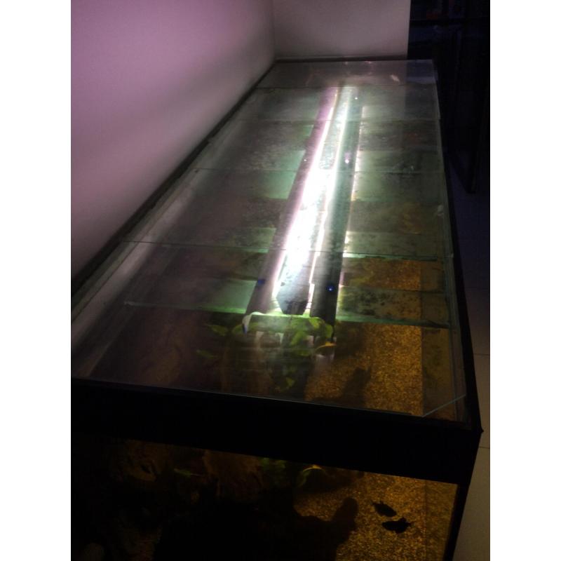 Aquarium 2m