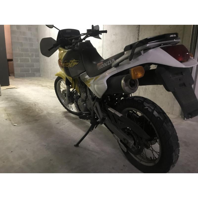 Honda dominator 650 cc