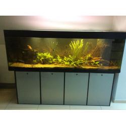 Aquarium 2m