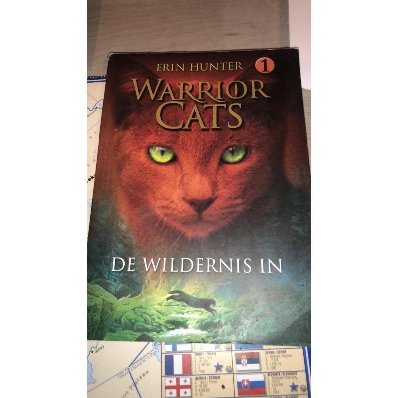 Warrior cats serie 1