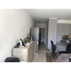 Gelijkvloers appartement te huur te Wommelgem