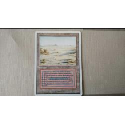 MTG FWB Desolation BADLANDS Dual Land Magic The Gathering