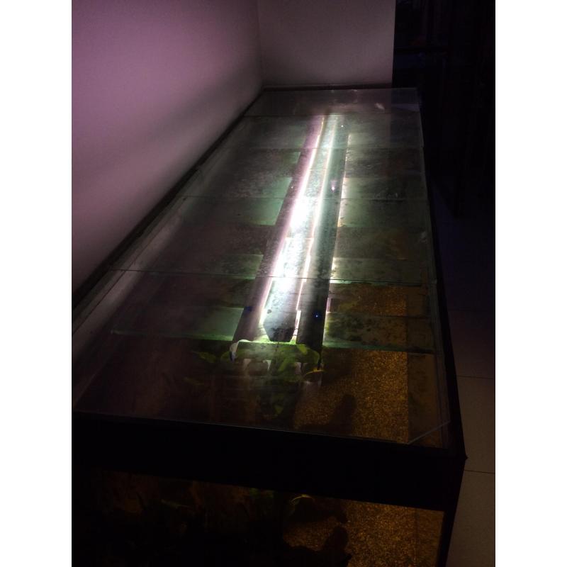 Aquarium 2m