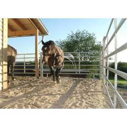 Veld Omheiningen, Texas panelen, inloopstal, box, Longeercirkel