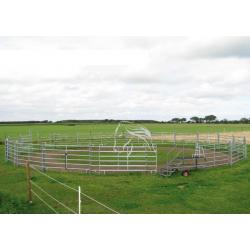 Veld Omheiningen, Longeercirkel, Omheining, Texas panelen