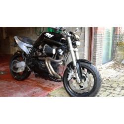 BUELL X1 NAKED BIKE te koop