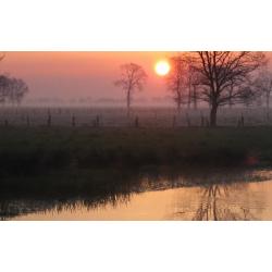 Pensionstalling in het natuurgebied Brechtse Heide