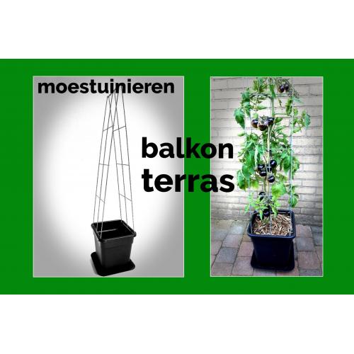 TOMATEN plantrekken plantenrekken voor tomatenplanten