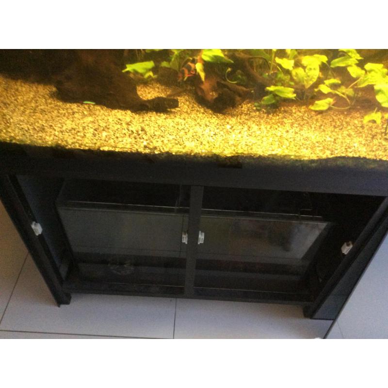 Aquarium 2m