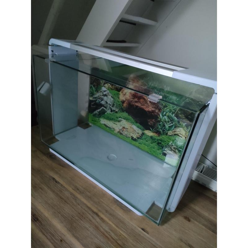 Aquarium met alle benodigdheden