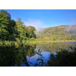 Ardennen - Bohan - chalets rechtstreeks aan de oever van de Semois