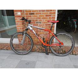 Mountainbike Bottecchia