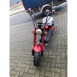 Electrische scooter Green-Rider Biker 25/45