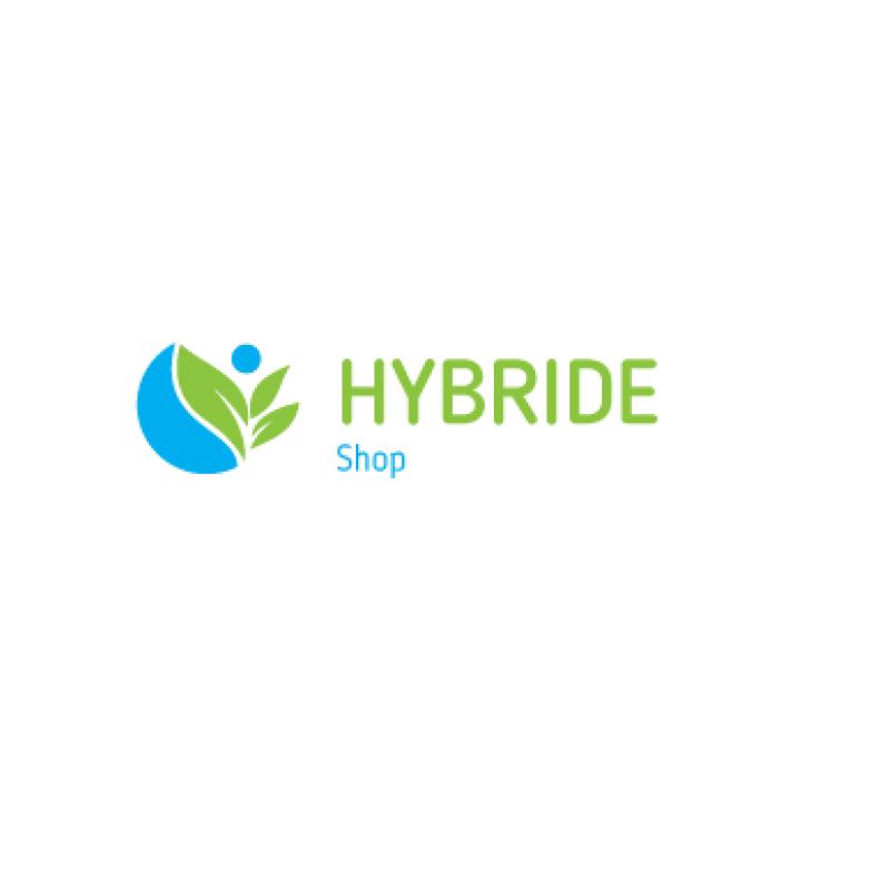 Hybride Accu/ Hybrid Battery Toyota Honda