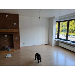 Apartment for rent Vosselaar- Belgium - 40km from Breda