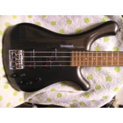 Fretless Bass