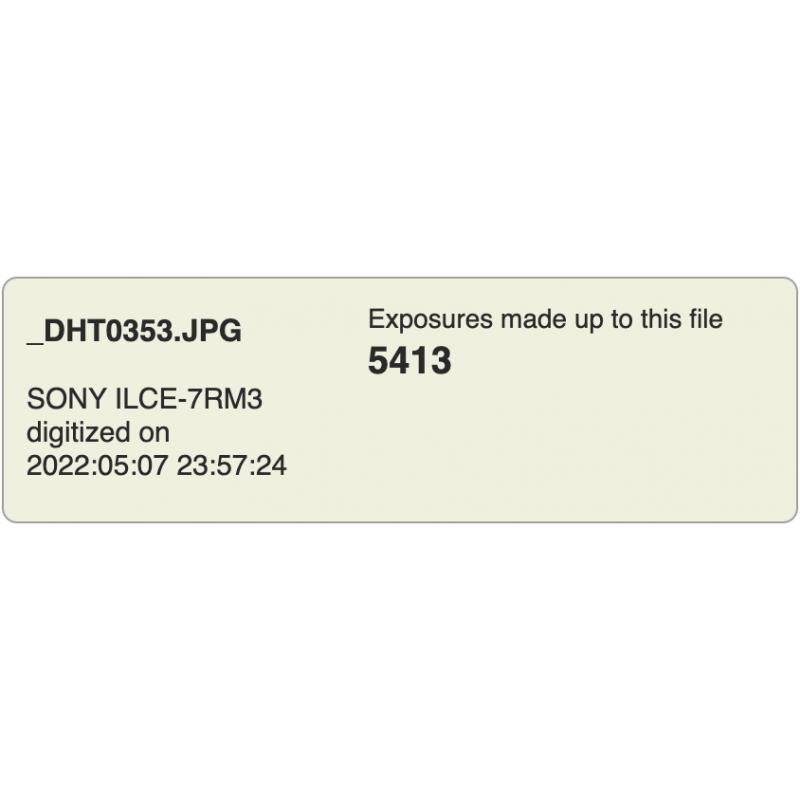 Sony a7riii body (5413 Clicks)