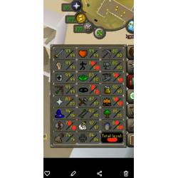 Verschillende osrs accounts te koop