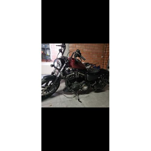 Harley davidson  xl883N