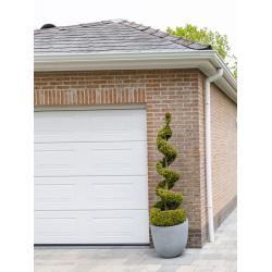 buxus met pot