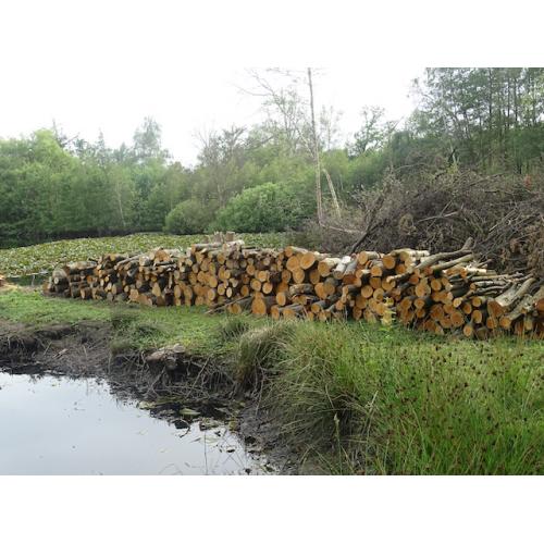 Brandhout te koop - zelf af te halen -  omgeving Hulshout