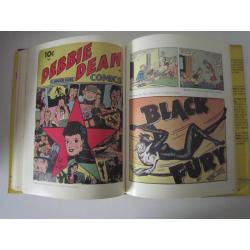 strip Woman in the Comics, hardcover (engels)