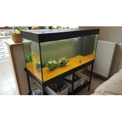 Aquarium Juwel Rio 300