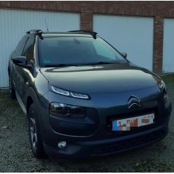 Te koop citroën cactus