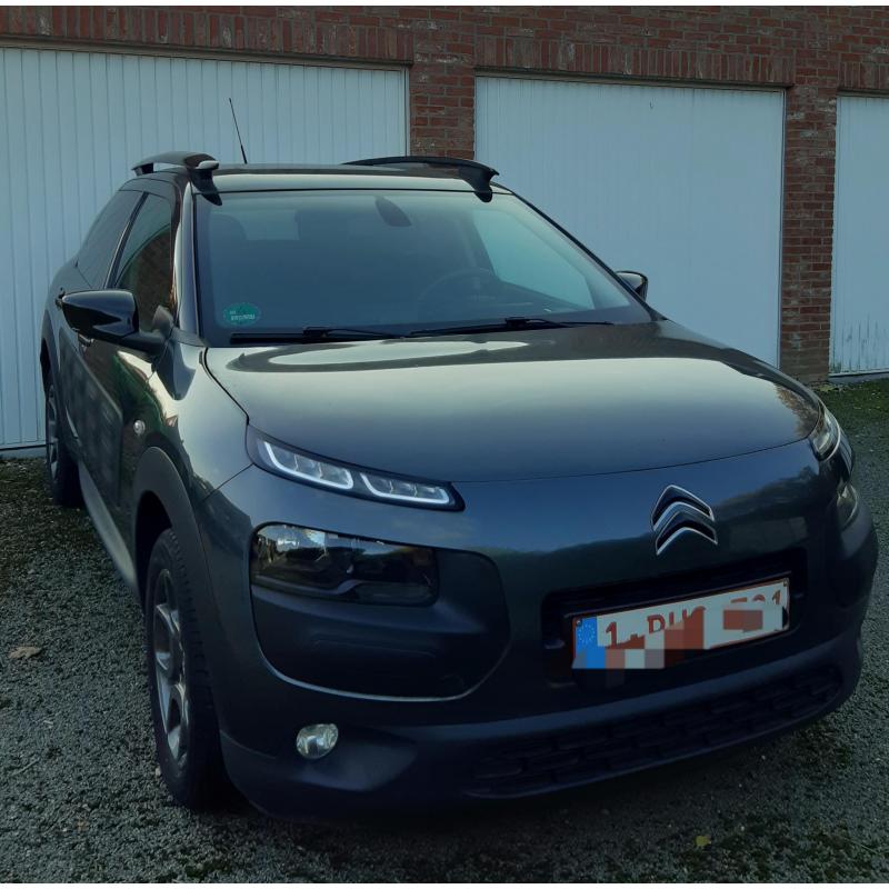 Te koop citroën cactus