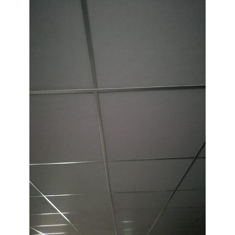 200m2 systeem plafond met led verlichting 20 dubbelspots en 20 enkel