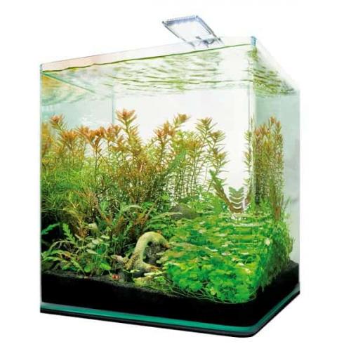 Aquarium Cube 216 Liter