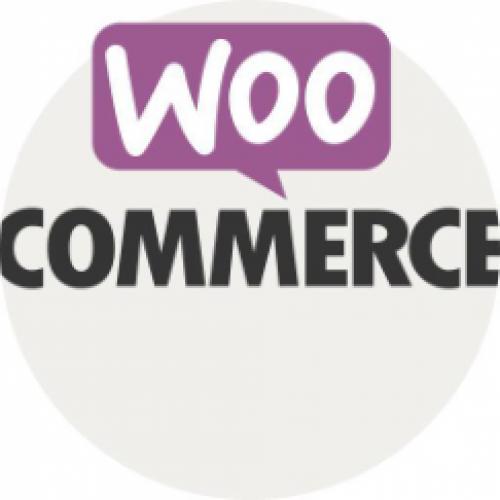 Website of webshop beginnen? va € 99,00 Wordpress website!