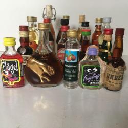 20 Miniatuur likeur flesjes - vol - Cognac, eau-de-vie, ...