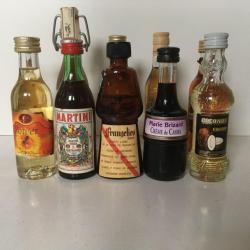 20 Miniatuur likeur flesjes - vol - Cognac, eau-de-vie, ...